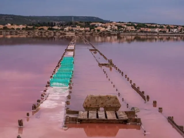 Villa Du Pin - Les Pieds Dans L'Eau - Gruissan Plage Du Grazel