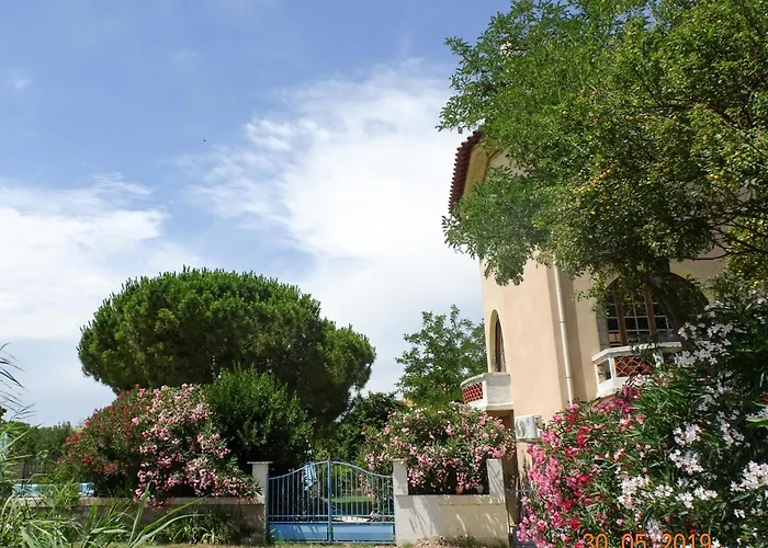 Domaine Du Petit Tournebelle